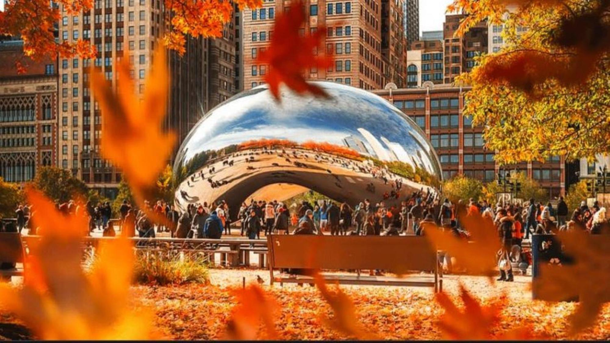 Staybridge Chicago-oakbrook Terrace By Ihg 3* Oakbrook Terrace